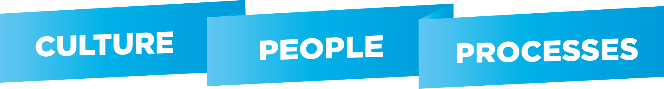 Culture, People, Processes