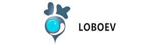 LOBO EV Technologies Ltd
