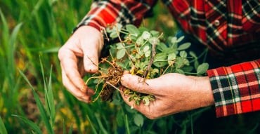 We Do the Right Thing