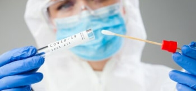 Weathering the Storm: Post-Pandemic Corporate Solvency and Its Implications for Public Finance