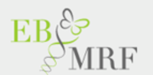 The Epidermolysis Bullosa Medical Research Foundation