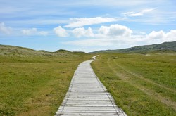 The Benefits of Nature for Your Mental Health
