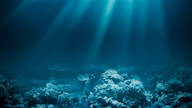 Specialists in the Latest Underwater Technologies 