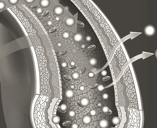 Innovative Pipeline of First-In-Class Products