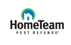 Hometeam Pest Defense