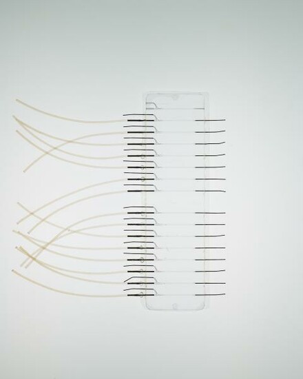 A new device enables testing of cancer therapies directly on tumor tissue