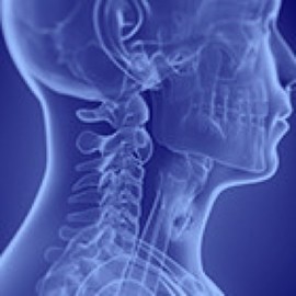 Head and Neck