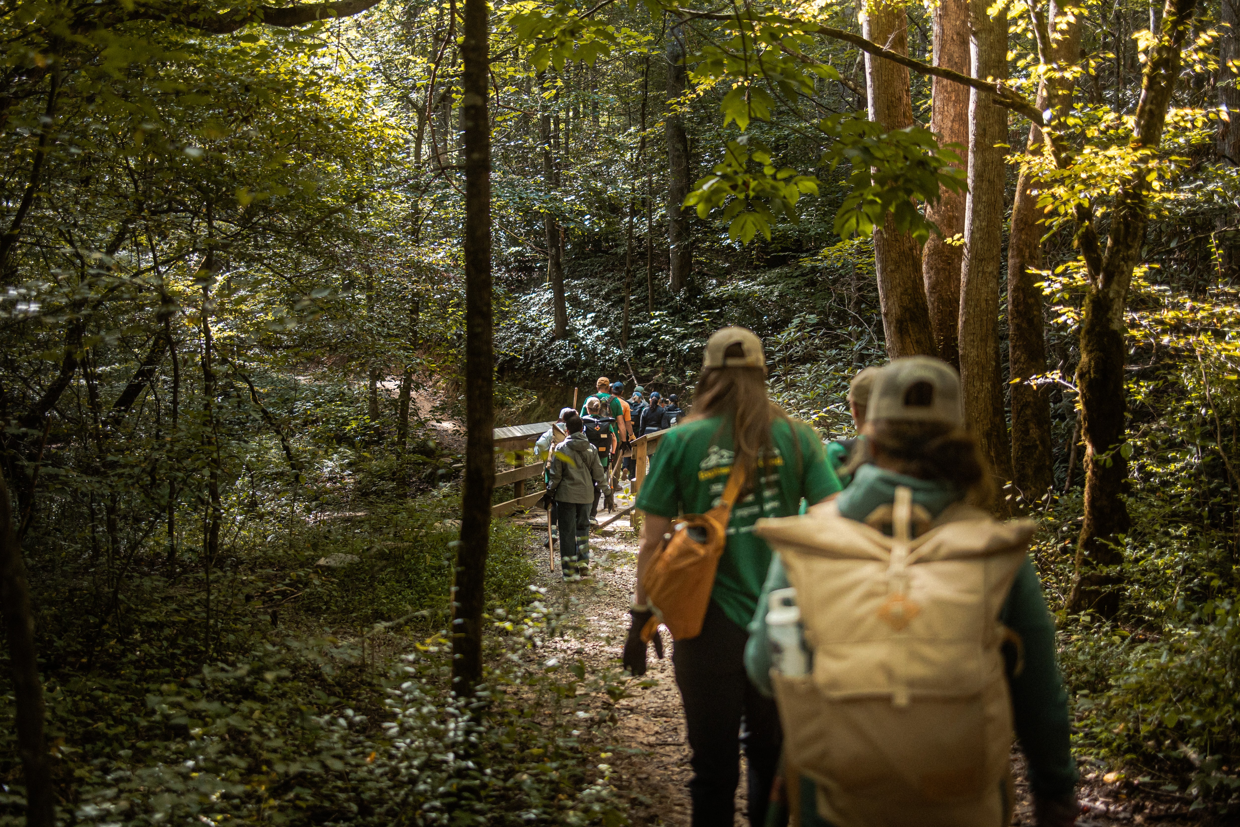 Volunteers walking through the forest. 