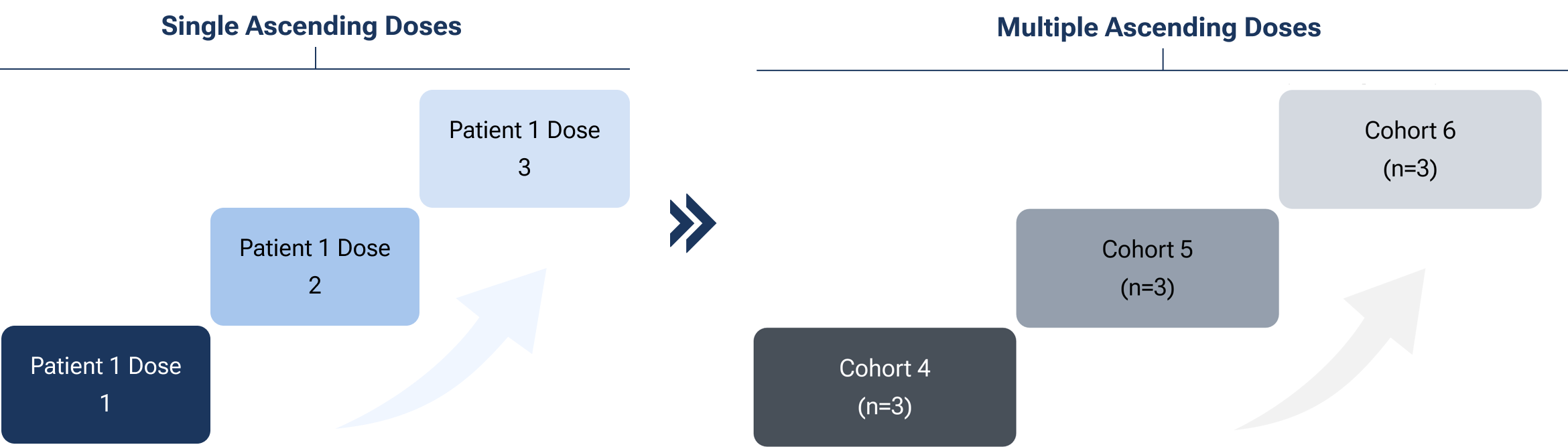 Single Ascending Doses and Multiple Ascending Doses