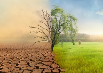 Navigating the Climate Crisis: The Role of Public Finance in Addressing Climate-Related Risk