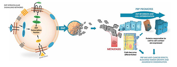 The importance of enzyme therapy