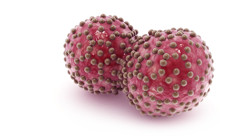 Developing Long-Term Therapy for the Treatment of Solid Tumors