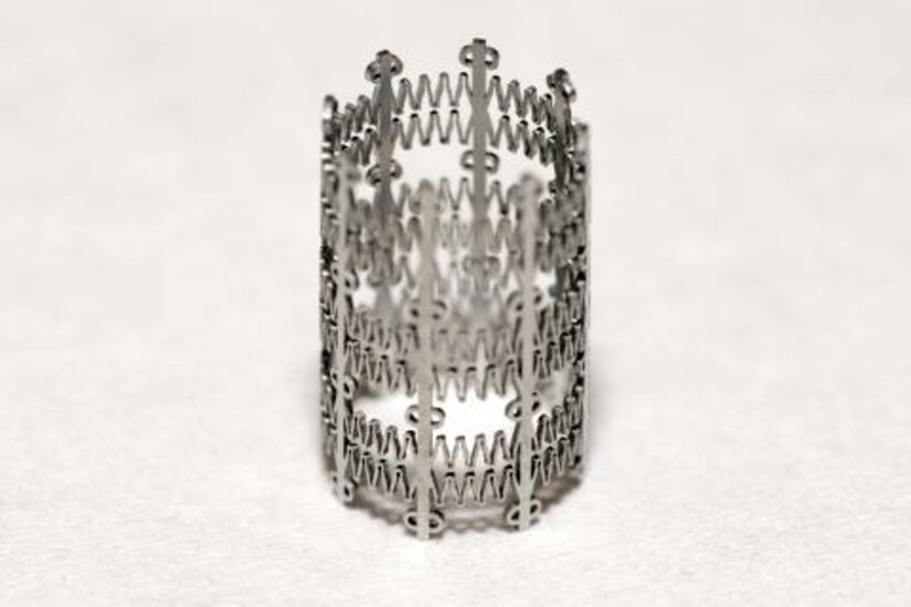 Heart valve stent