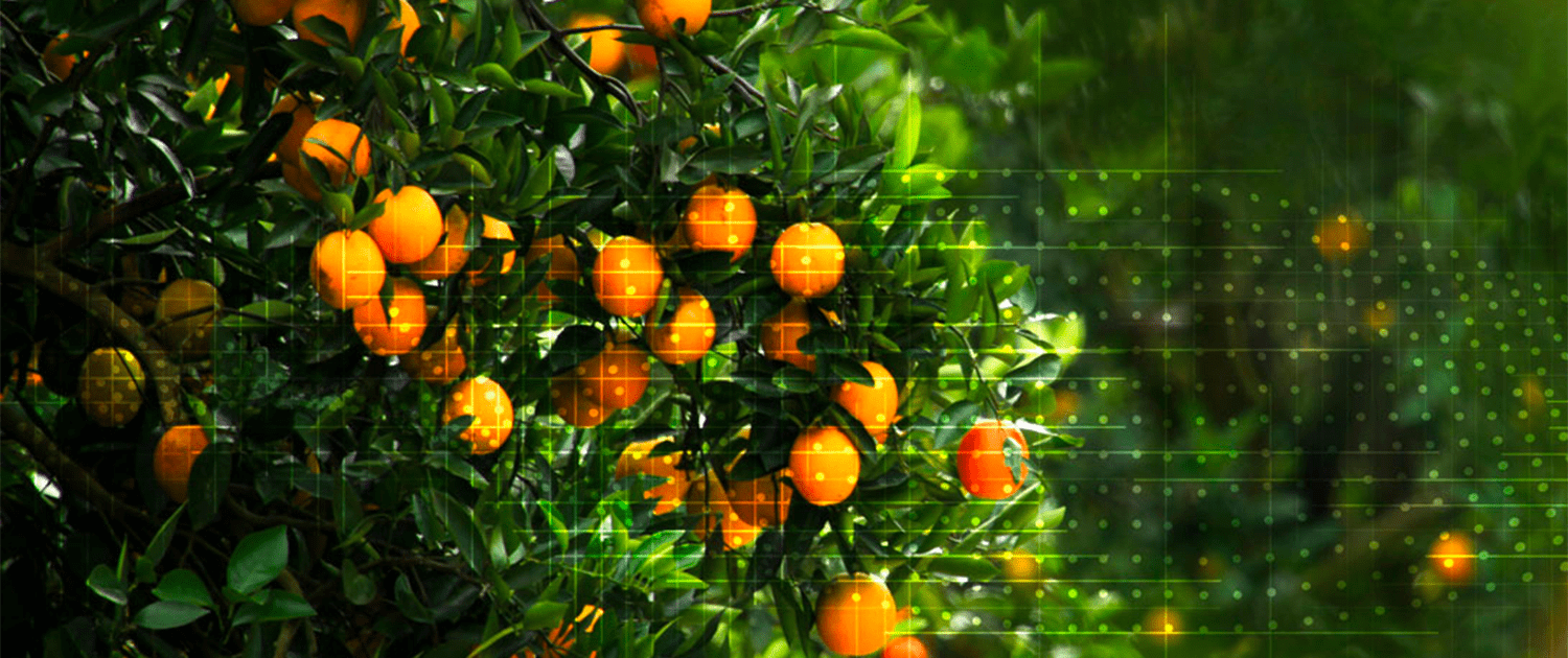 Florida Citrus Grower Alico Inc. Development Alico, Inc. (ALCO)