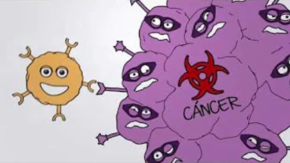 Cómo funcionan nuestras células SPEAR T