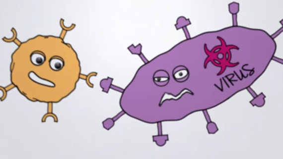 Comment nos cellules SPEAR T fonctionnent