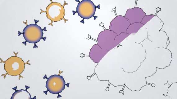 Le parcours du patient