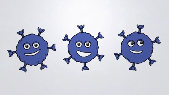 Mecanismo de Acción del ADP-A2M4CD8 (SPEAR-T cell de próxima generación)