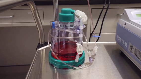 Manufacturing at Adaptimmune