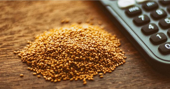What makes us unique: Camelina sativa 