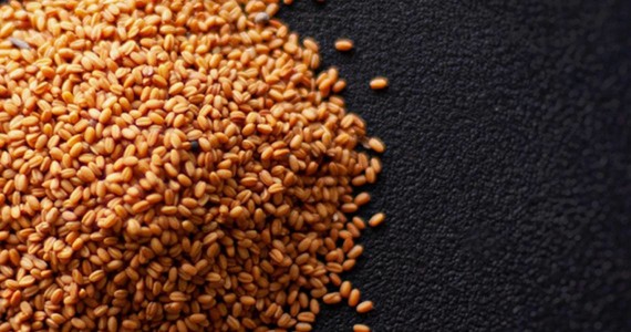 Upstream: from lab to farm