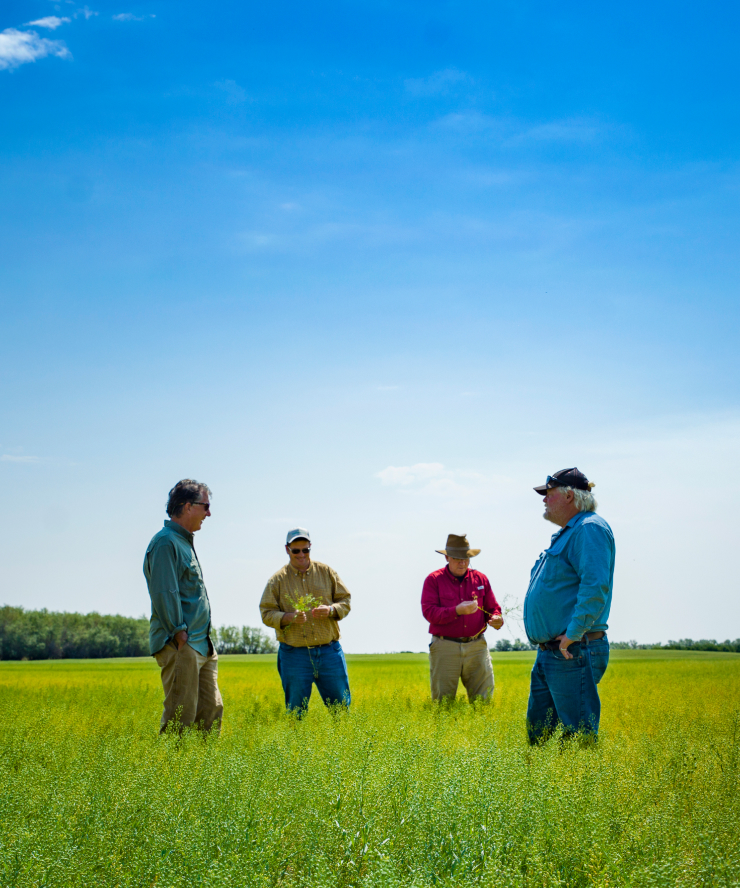 Focus on food security 