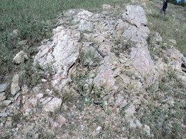 An image thumbnail for the following media post.