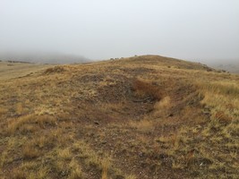 An image thumbnail for the following media post.