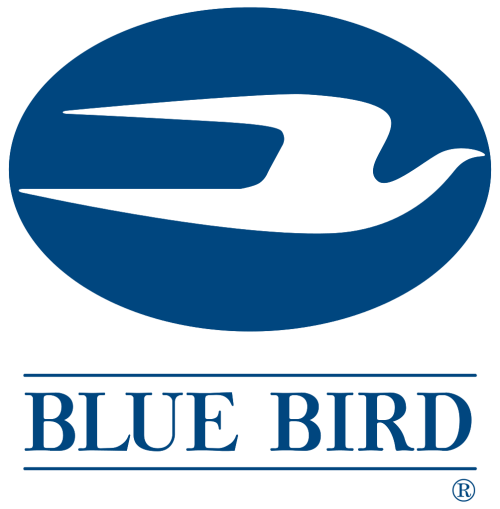 Blue Bird (BLBD) 