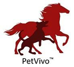 PetVivo Holdings, Inc. 