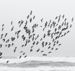 The Great Talent Migration of 2021