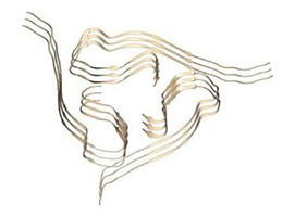Normal Protein