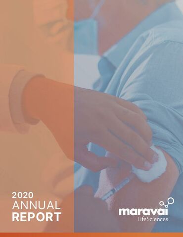 2020 Annual Report