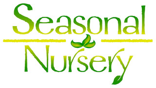 Seasonal Nursery