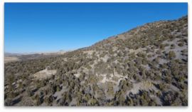 An image thumbnail for the following media post.