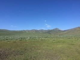 An image thumbnail for the following media post.