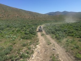 An image thumbnail for the following media post.