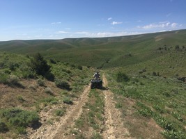 An image thumbnail for the following media post.