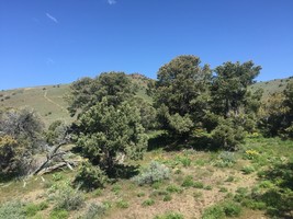 An image thumbnail for the following media post.