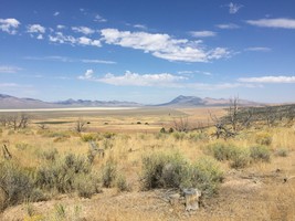 An image thumbnail for the following media post.