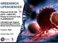 Corporate Presentation - June 2025 (PDF)