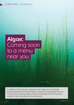 Algae: Coming soon to a menu near you