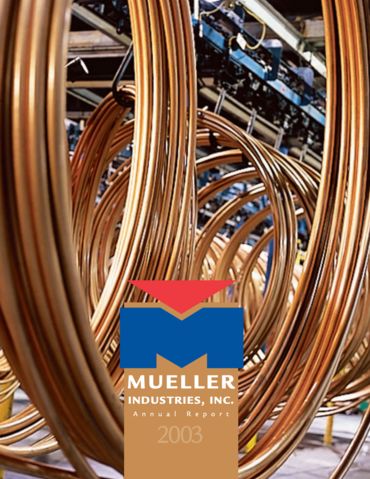 2003 Annual Report