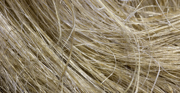 Natural Materials
