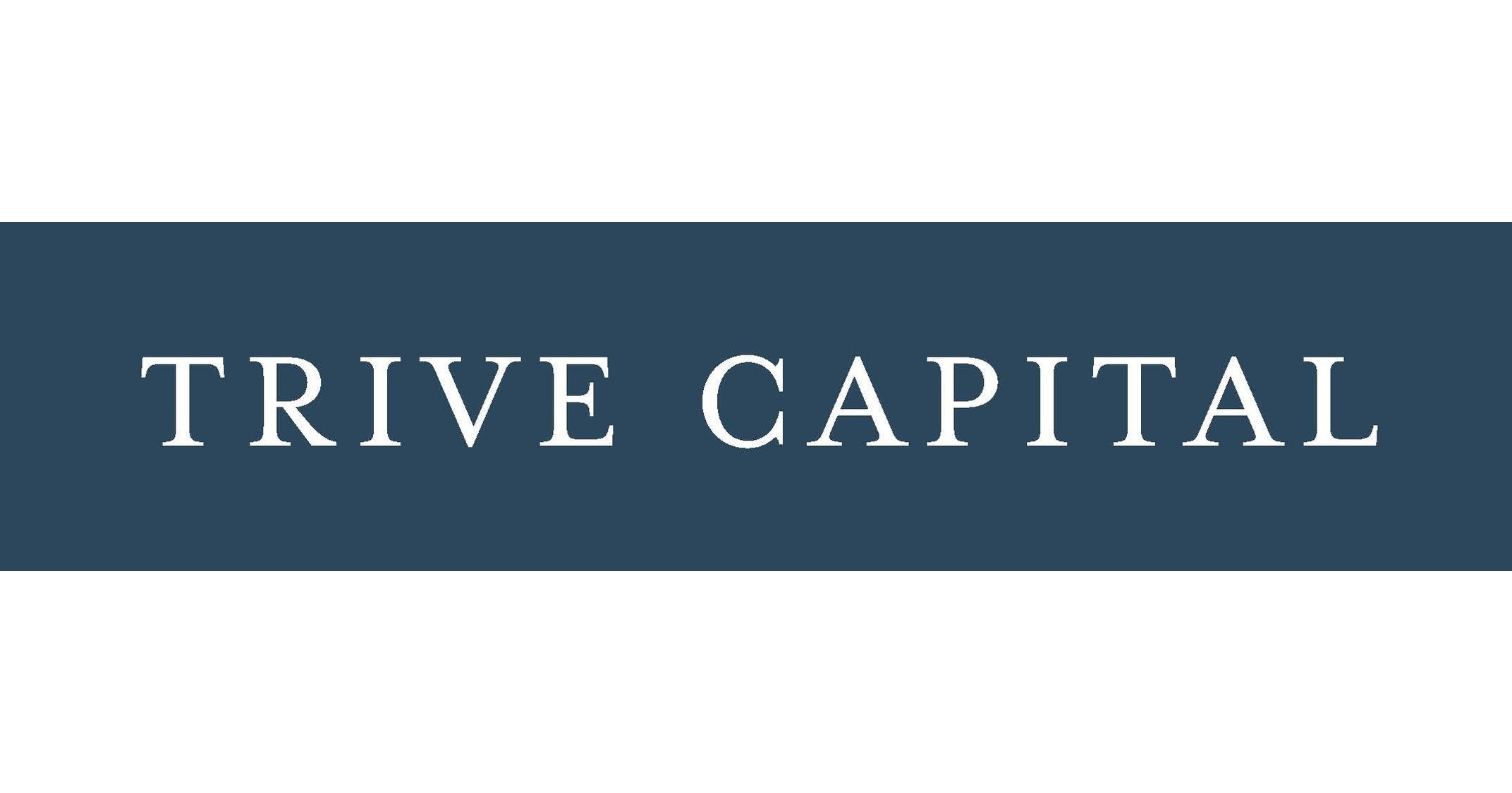 Second logo for Vitesse Systems