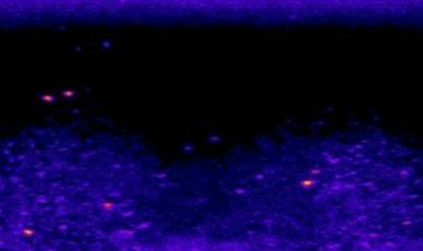 Bright red and yellow suspected microplastics among dimmer blue organic debris.