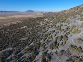 An image thumbnail for the following media post.