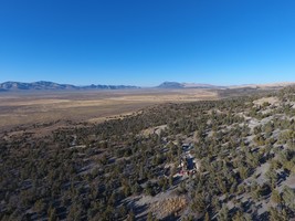 An image thumbnail for the following media post.