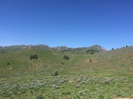 An image thumbnail for the following media post.