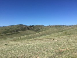 An image thumbnail for the following media post.